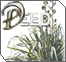 The Deed: Shatnez