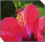 Inner Meaning of Mitzvot